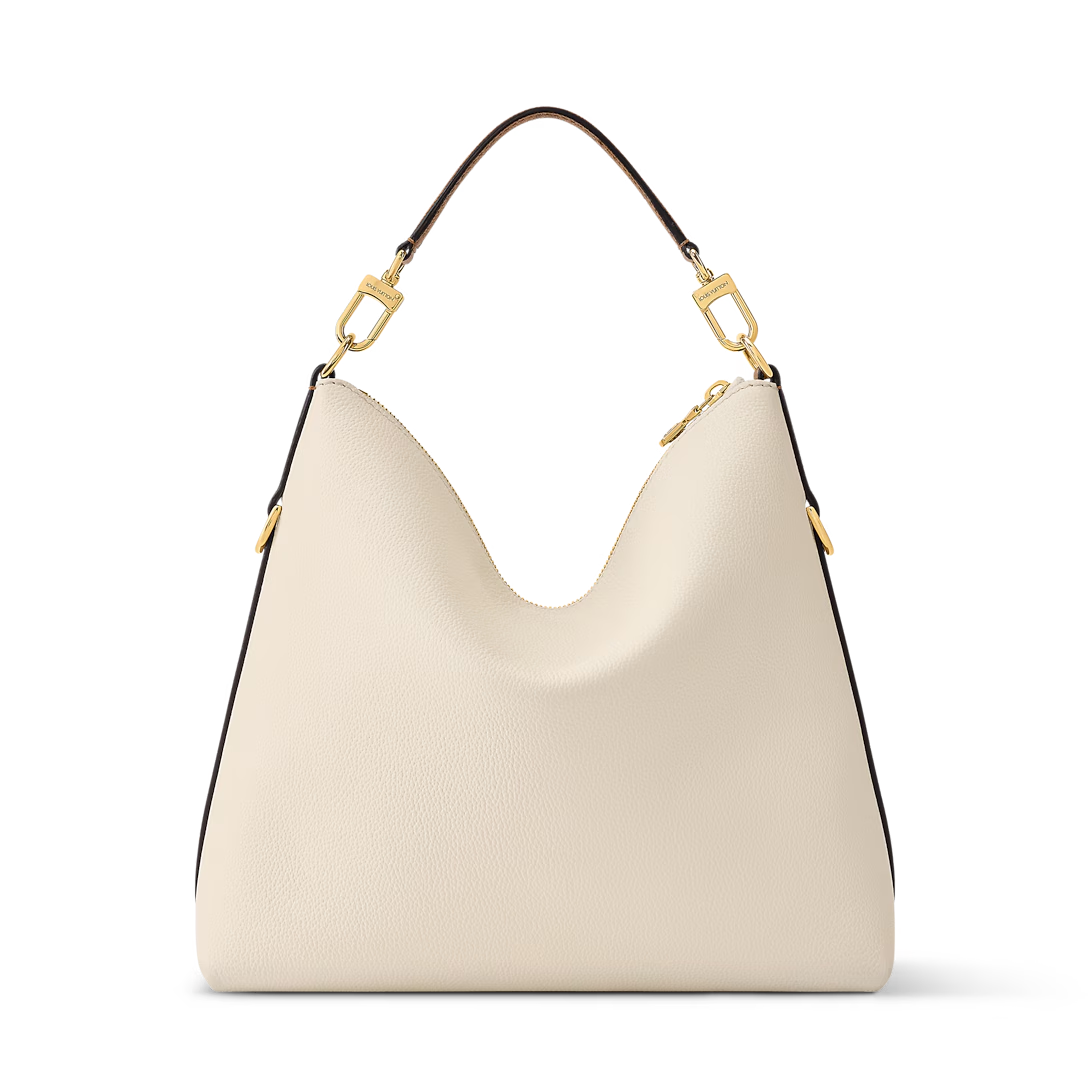 LV M29094 Multipass Bag